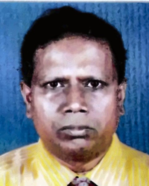 M Mostafizur Rahman