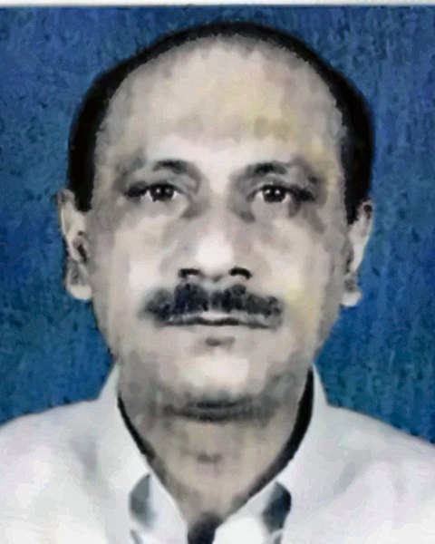 Md Sarwar Hossain Rokon